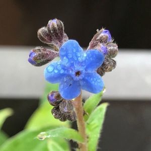 Meet your Posher, Lorie